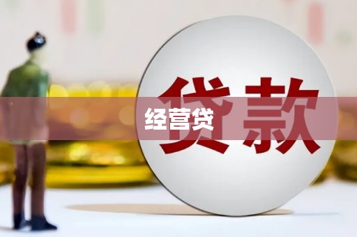 黔东南经营贷