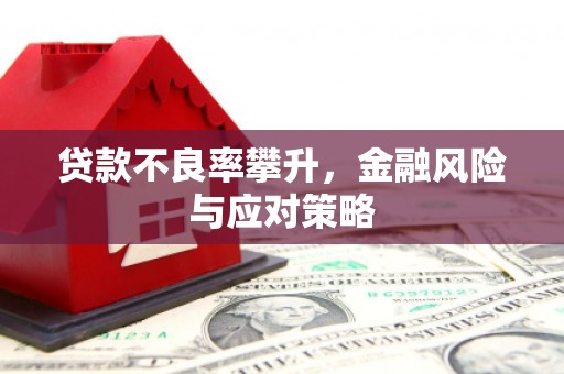 黔东南贷款不良率攀升，金融风险与应对策略
