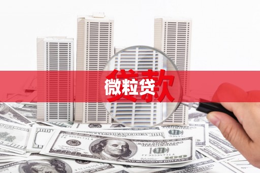 黔东南微粒贷