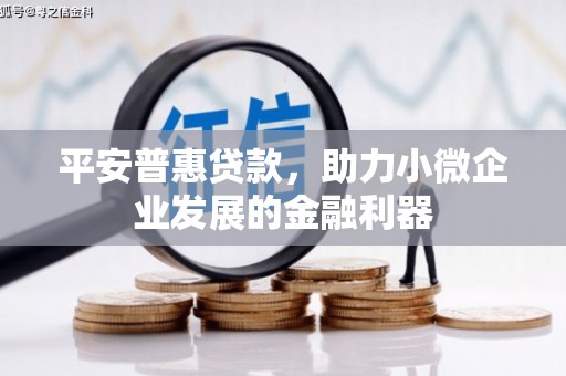 黔东南平安普惠贷款，助力小微企业发展的金融利器