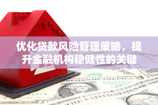 黔东南优化贷款风险管理策略，提升金融机构稳健性的关键