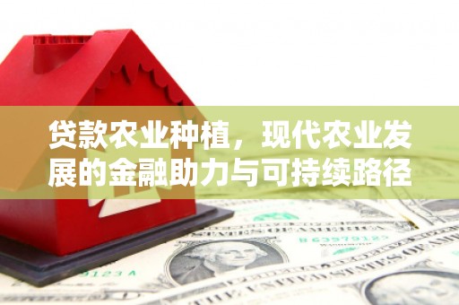 黔东南贷款农业种植，现代农业发展的金融助力与可持续路径
