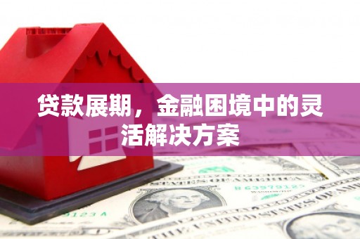 黔东南贷款展期，金融困境中的灵活解决方案