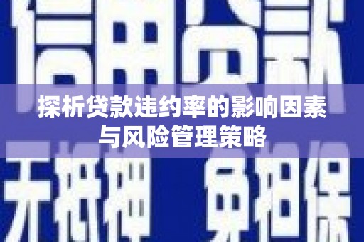 黔东南探析贷款违约率的影响因素与风险管理策略