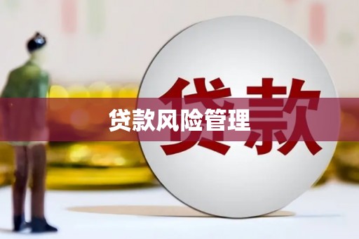 黔东南贷款风险管理
