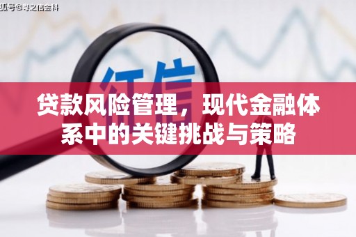 黔东南贷款风险管理，现代金融体系中的关键挑战与策略