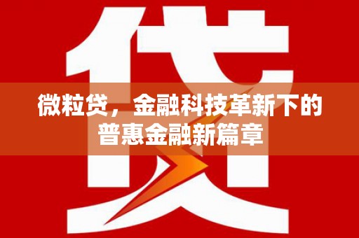 黔东南微粒贷，金融科技革新下的普惠金融新篇章