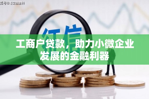 黔东南工商户贷款，助力小微企业发展的金融利器