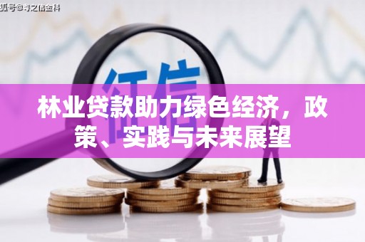 黔东南林业贷款助力绿色经济，政策、实践与未来展望