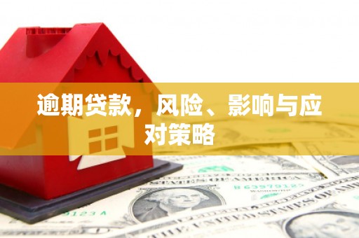 黔东南逾期贷款，风险、影响与应对策略