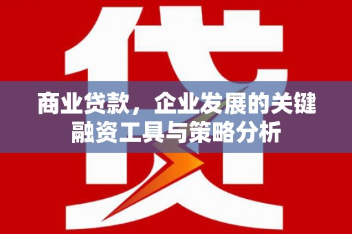 黔东南商业贷款，企业发展的关键融资工具与策略分析