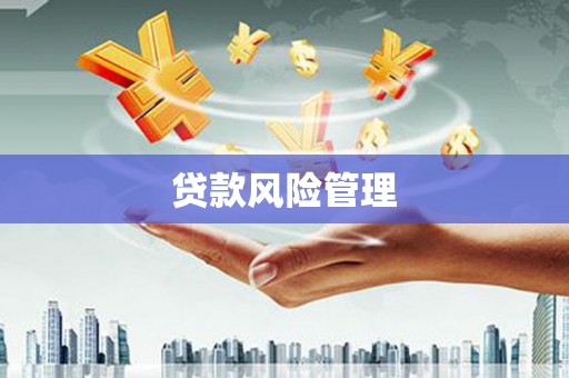 黔东南贷款风险管理
