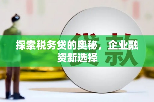黔东南探索税务贷的奥秘，企业融资新选择