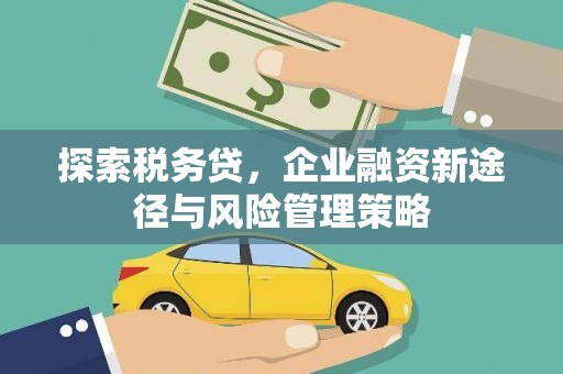 黔东南探索税务贷，企业融资新途径与风险管理策略