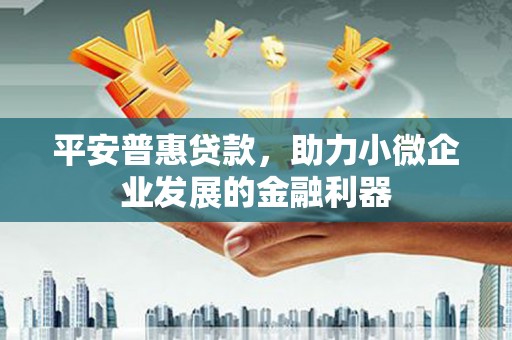 黔东南平安普惠贷款，助力小微企业发展的金融利器
