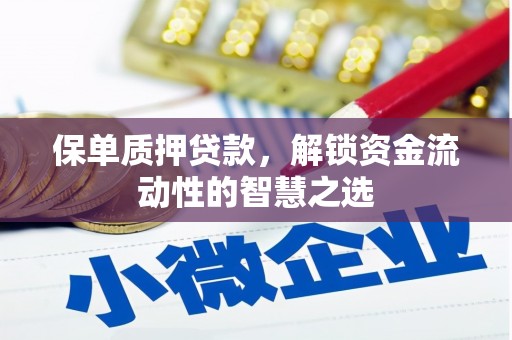 黔东南保单质押贷款，解锁资金流动性的智慧之选
