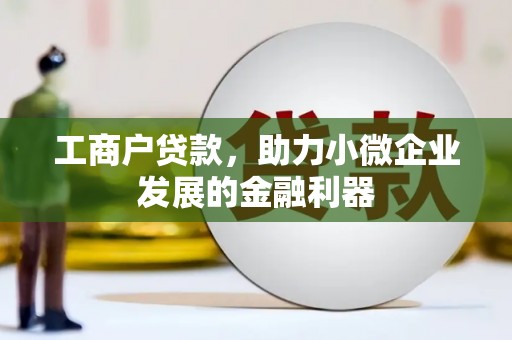 黔东南工商户贷款，助力小微企业发展的金融利器
