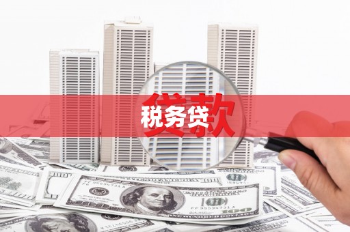黔东南税务贷