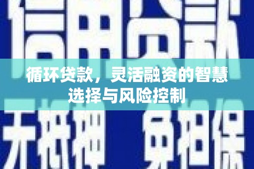 黔东南循环贷款，灵活融资的智慧选择与风险控制