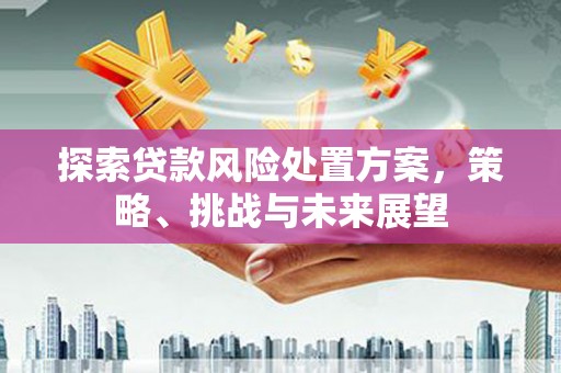 黔东南探索贷款风险处置方案，策略、挑战与未来展望