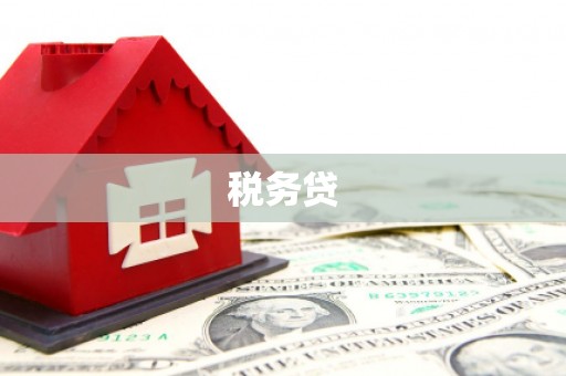 黔东南税务贷