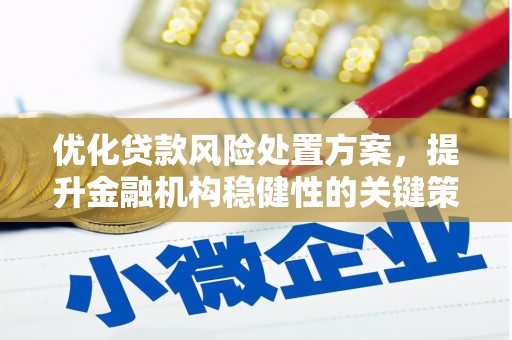 黔东南优化贷款风险处置方案，提升金融机构稳健性的关键策略