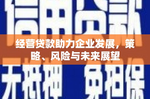黔东南经营贷款助力企业发展，策略、风险与未来展望