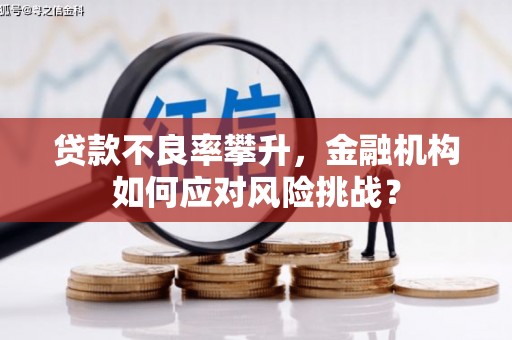 黔东南贷款不良率攀升，金融机构如何应对风险挑战？