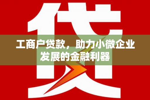 黔东南工商户贷款，助力小微企业发展的金融利器