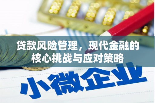 黔东南贷款风险管理，现代金融的核心挑战与应对策略