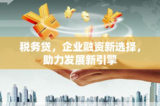 黔东南税务贷，企业融资新选择，助力发展新引擎