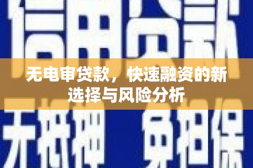 黔东南无电审贷款，快速融资的新选择与风险分析