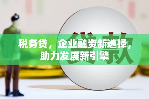 黔东南税务贷，企业融资新选择，助力发展新引擎
