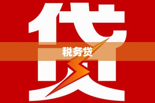 黔东南税务贷