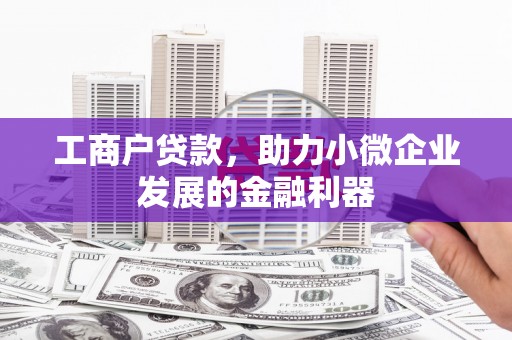 黔东南工商户贷款，助力小微企业发展的金融利器