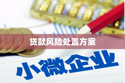 黔东南贷款风险处置方案