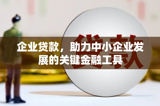 黔东南企业贷款，助力中小企业发展的关键金融工具