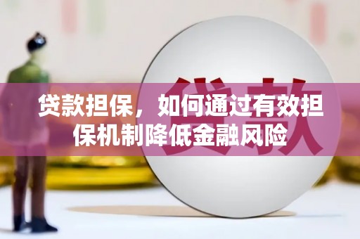 黔东南贷款担保，如何通过有效担保机制降低金融风险
