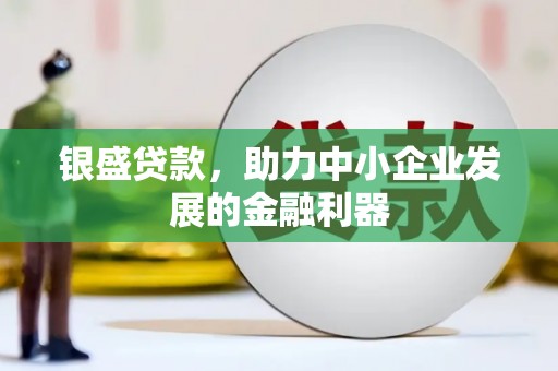 黔东南银盛贷款，助力中小企业发展的金融利器