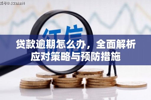 黔东南贷款逾期怎么办，全面解析应对策略与预防措施