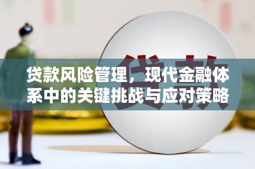 黔东南贷款风险管理，现代金融体系中的关键挑战与应对策略