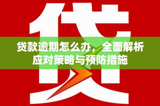 黔东南贷款逾期怎么办，全面解析应对策略与预防措施