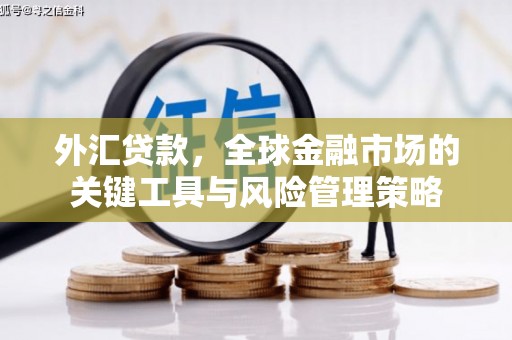 黔东南外汇贷款，全球金融市场的关键工具与风险管理策略