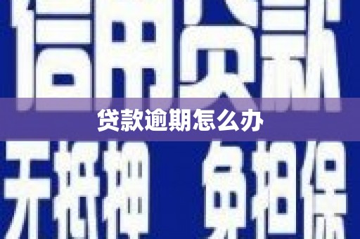 黔东南贷款逾期怎么办