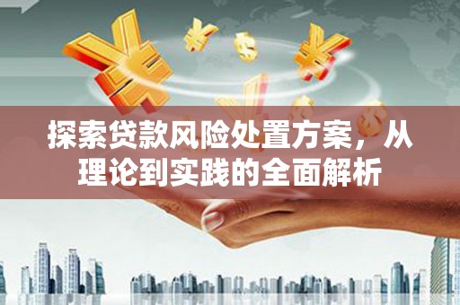 黔东南探索贷款风险处置方案，从理论到实践的全面解析