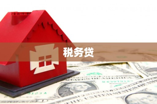 黔东南税务贷