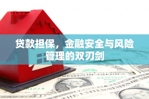 黔东南贷款担保，金融安全与风险管理的双刃剑
