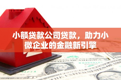 黔东南小额贷款公司贷款，助力小微企业的金融新引擎