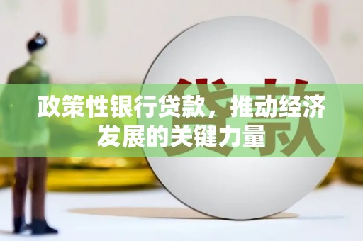 黔东南政策性银行贷款，推动经济发展的关键力量
