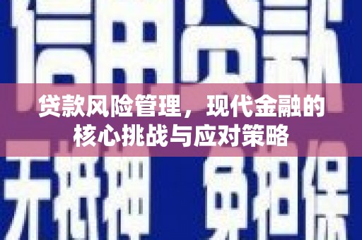 黔东南贷款风险管理，现代金融的核心挑战与应对策略